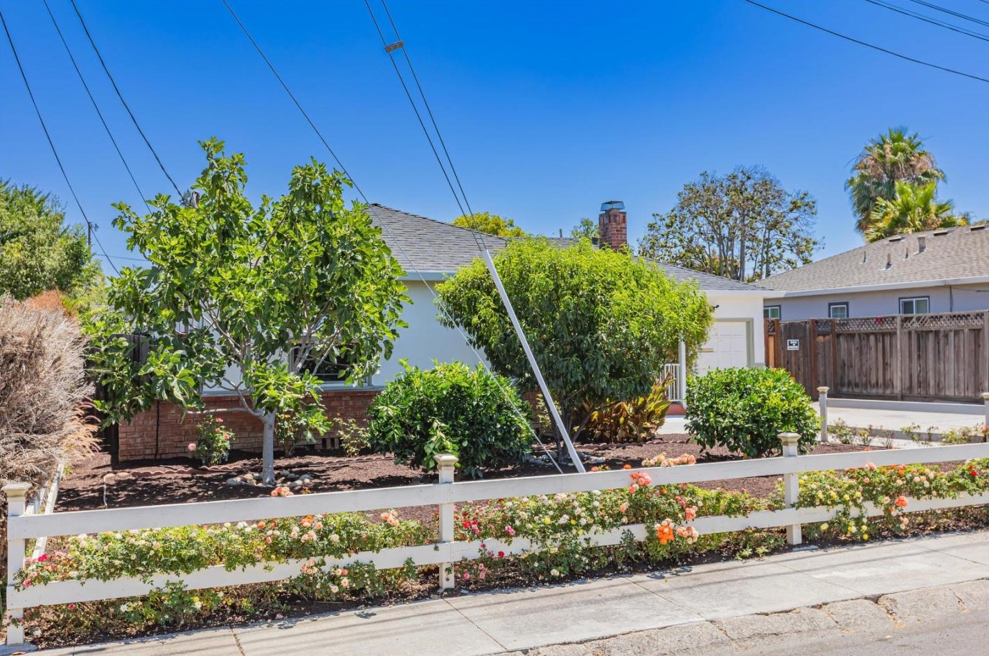 572 Halsey, San Jose, CA 95128