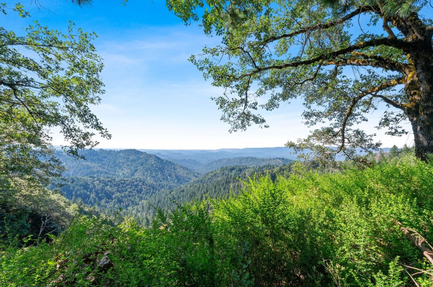 15901 Skyline Blvd, Los Gatos, CA 95033-9557