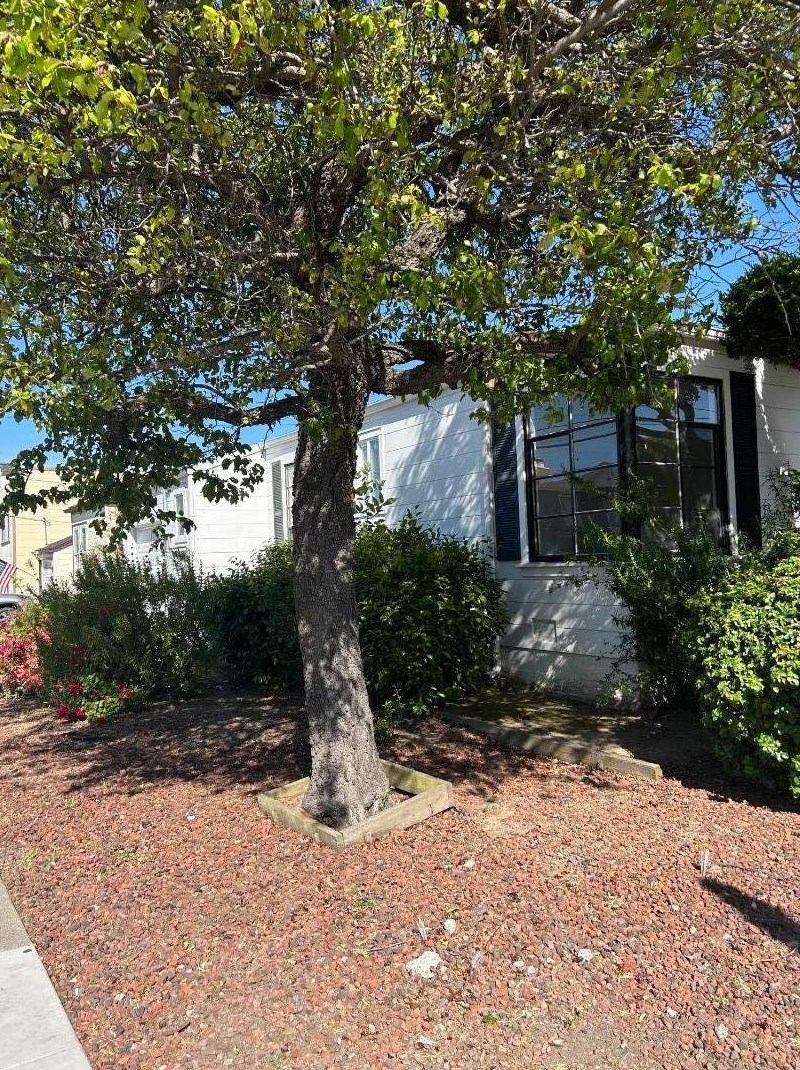 686 Green Ave, San Bruno, CA 94066