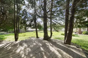 389 Corralitos Rd, Watsonville, CA 95076 - Photo 40