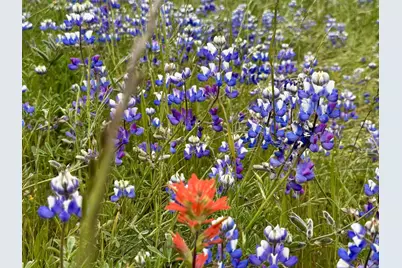 8 Corral Run, Carmel, CA 93923 - Photo 14