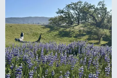 8 Touche Pass, Carmel, CA 93923 - Photo 16