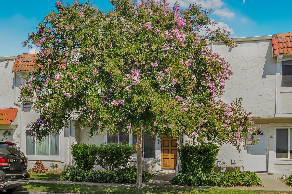 5480 Don Juan Cir, San Jose, CA 95123
