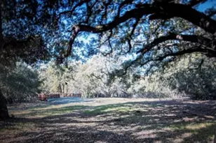 3343 Alpine Rd, Portola Valley, CA 94028 - Photo 2