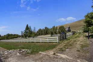 5955 Diablo Hills Rd, Tres Pinos, CA 95075 - Photo 70