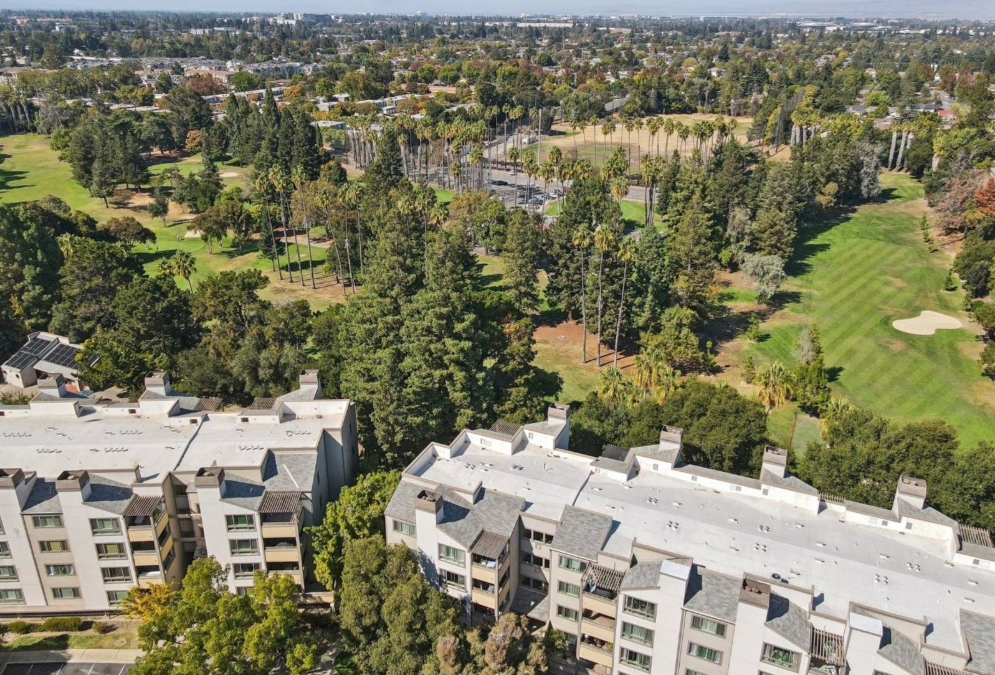 979 Pinto Palm Ter, Sunnyvale CA  94087-3794 exterior