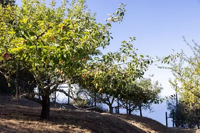 47320 Highway 1, Big Sur, CA 93920 - Photo 38