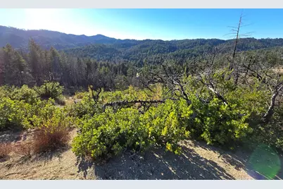 360 Wildberry Dr, Boulder Creek, CA 95006 - Photo 14