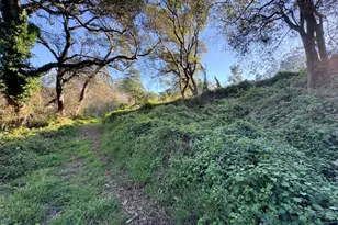 2603 Monterey Ave, Soquel, CA 95073 - Photo 18