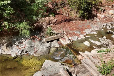 16770 Redwood Lodge Rd, Los Gatos, CA 95033 - Photo 40