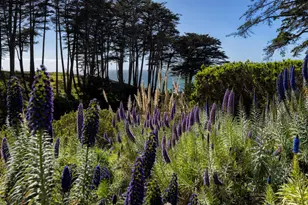 315 Seascape Resort Dr, Aptos, CA 95003 - Photo 30