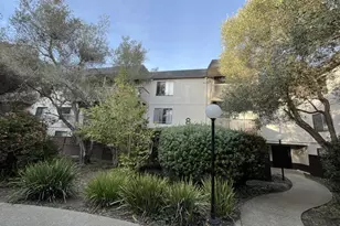 8227 Shelter Creek Ln, San Bruno, CA 94066 - Photo 44