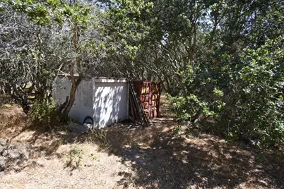 443A Alexander Ln, San Juan Bautista, CA 95045 - Photo 36