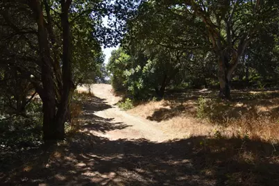 443A Alexander Ln, San Juan Bautista, CA 95045 - Photo 12