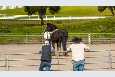 6033 Dagnino Rd, Livermore, CA 94551 - Photo 48