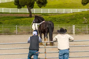 6033 Dagnino Rd, Livermore, CA 94551 - Photo 48