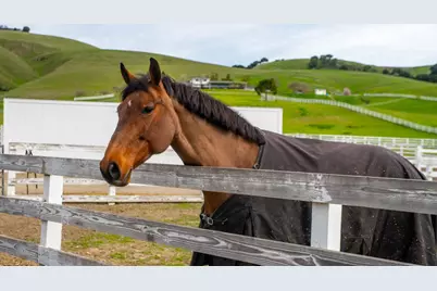 6033 Dagnino Rd, Livermore, CA 94551 - Photo 90