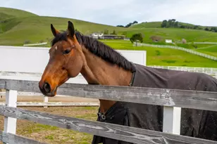 6033 Dagnino Rd, Livermore, CA 94551 - Photo 90