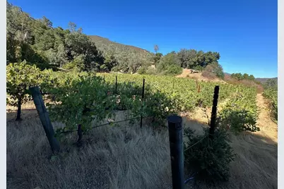 13160 Cienega Rd, Hollister, CA 95023 - Photo 4