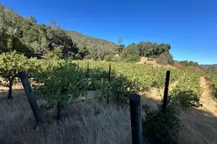 13160 Cienega Rd, Hollister, CA 95023 - Photo 4