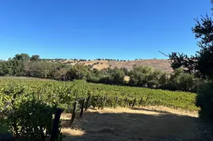 13160 Cienega Rd, Hollister, CA 95023 - Photo 10