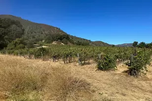 13160 Cienega Rd, Hollister, CA 95023 - Photo 6