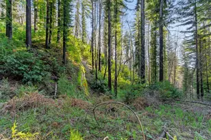 21200 Big Basin Wy, Boulder Creek, CA 95006 - Photo 18