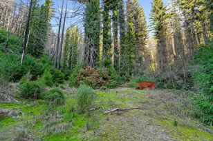 21200 Big Basin Wy, Boulder Creek, CA 95006 - Photo 8