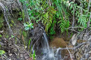 21200 Big Basin Wy, Boulder Creek, CA 95006 - Photo 16