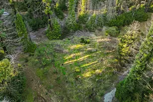 21200 Big Basin Wy, Boulder Creek, CA 95006 - Photo 34