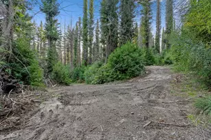 21200 Big Basin Wy, Boulder Creek, CA 95006 - Photo 10