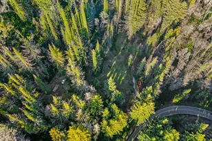 21200 Big Basin Wy, Boulder Creek, CA 95006 - Photo 30