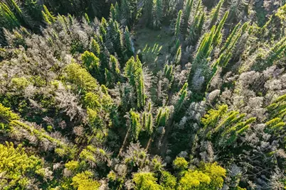 21200 Big Basin Way, Boulder Creek, CA 95006 - Photo 32