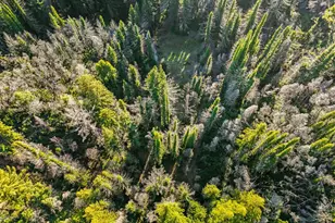 21200 Big Basin Wy, Boulder Creek, CA 95006 - Photo 32