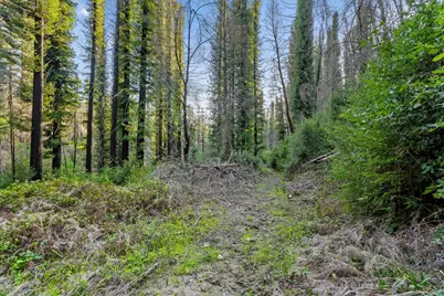 21200 Big Basin Way, Boulder Creek, CA 95006 - Photo 20