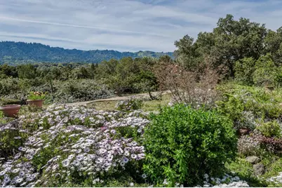 640 Los Trancos Rd, Palo Alto, CA 94304 - Photo 4