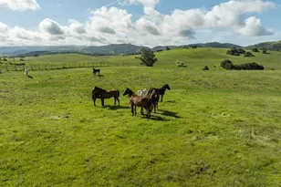 600 Rocks Rd, San Juan Bautista, CA 95045 - Photo 16