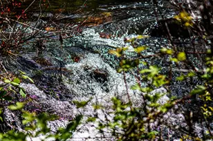 13069 Wells Fargo Dr, Groveland, CA 95321 - Photo 32