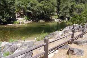 7899 Forest Dr, Yosemite National Park, CA 95389 - Photo 14