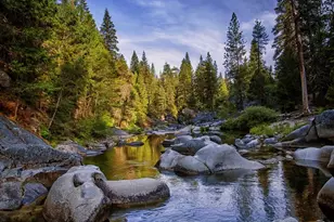 7899 Forest Dr, Yosemite National Park, CA 95389 - Photo 90