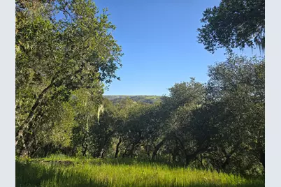 16 Sleepy Hollow Drive, Carmel Valley, CA 93924 - Photo 12