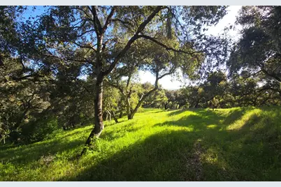 16 Sleepy Hollow Drive, Carmel Valley, CA 93924 - Photo 18