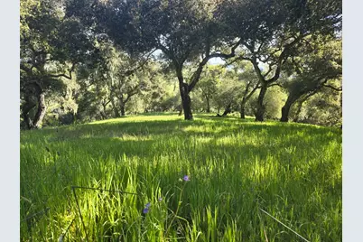 16 Sleepy Hollow Drive, Carmel Valley, CA 93924 - Photo 8