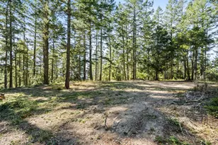 200 S Ranch Rd, Pescadero, CA 94060 - Photo 66