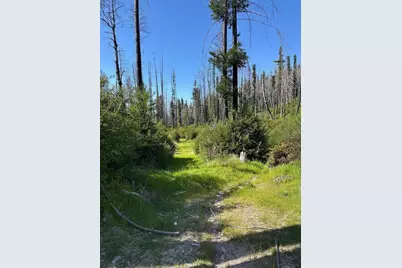 4605 Last Chance Rd, Davenport, CA 95017 - Photo 26