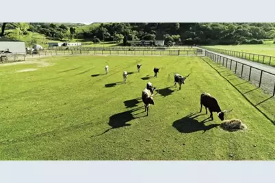 19963 Hale Ave, Morgan Hill, CA 95037 - Photo 50