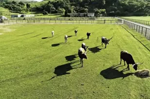 19963 Hale Ave, Morgan Hill, CA 95037 - Photo 50