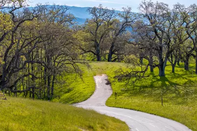 14 Long Ridge Trail (Lot 232), Carmel, CA 93923 - Photo 8