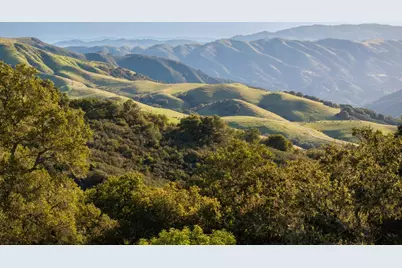 52 Chamisal Pass (Lot 136), Carmel, CA 93923 - Photo 4