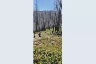 5406 Wooded Glen Dr, Grizzly Flats, CA 95636 - Photo 2